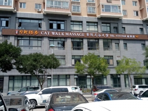 陜西延安-臺北貓步足道
